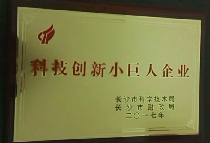 乐玩（中国）智能荣获科技创新小巨人企业